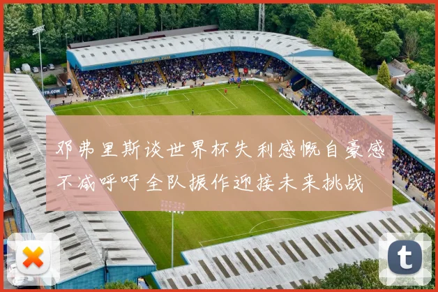 邓弗里斯谈世界杯失利感慨自豪感不减呼吁全队振作迎接未来挑战